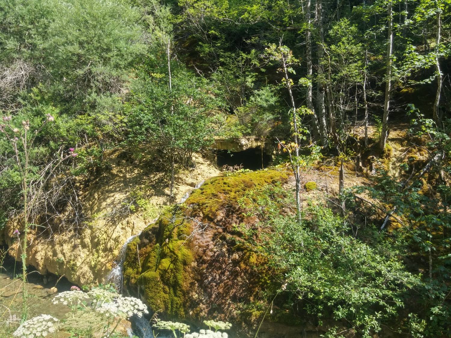 Jezersko-Kamnolom lehnjaka 155