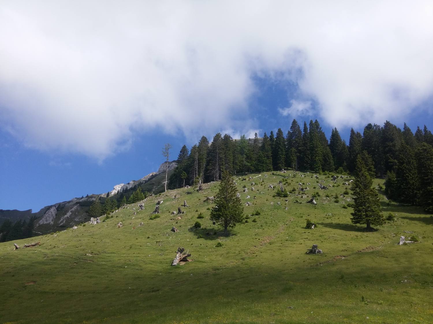 Tegoška planina 288