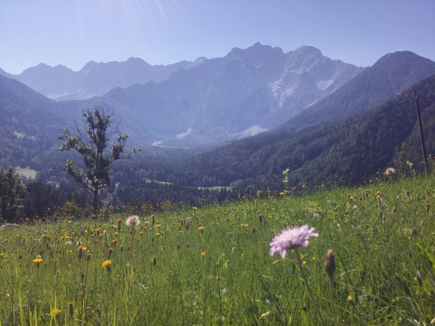 Jezersko-Stara cerkev-Sv.Ožbolt 300