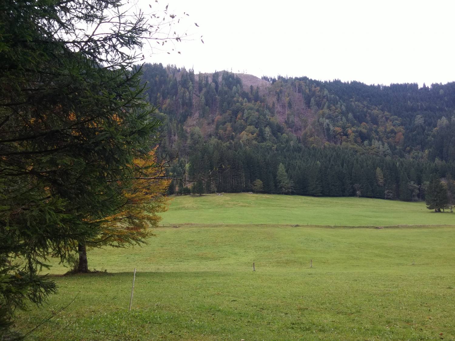 Jezersko-Ravenska Kočna 406