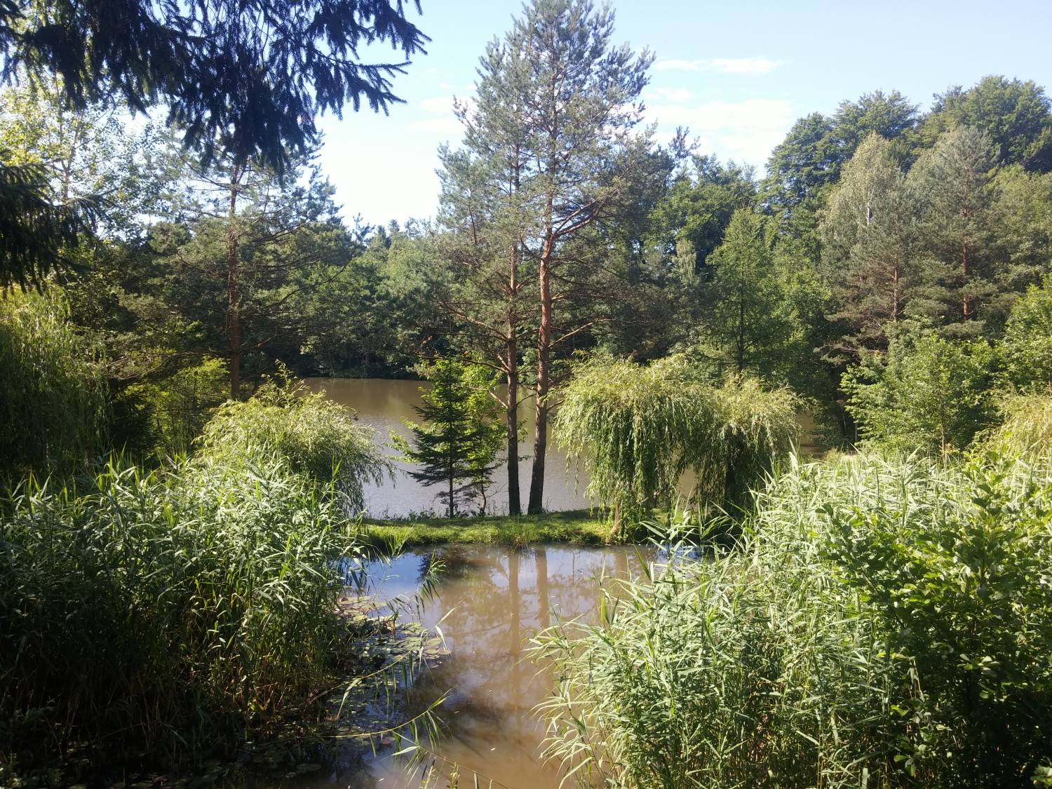 The Češnjevek Ponds 419