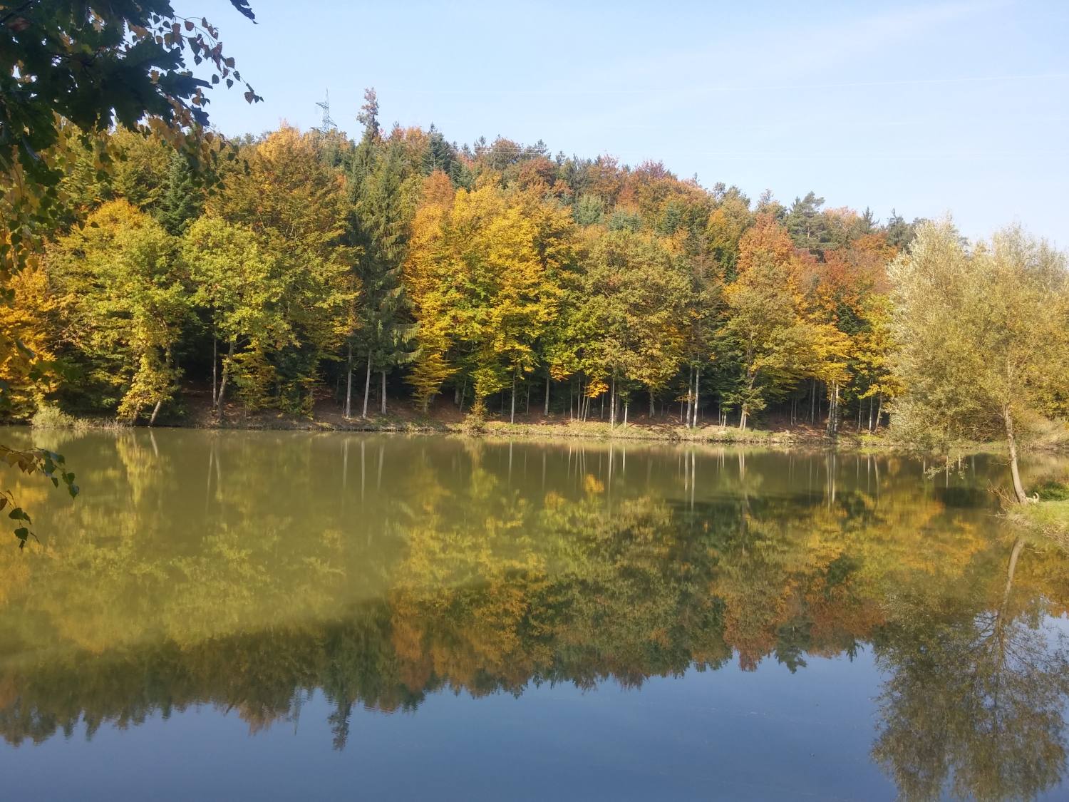 Jezero Rogaška slatina 444