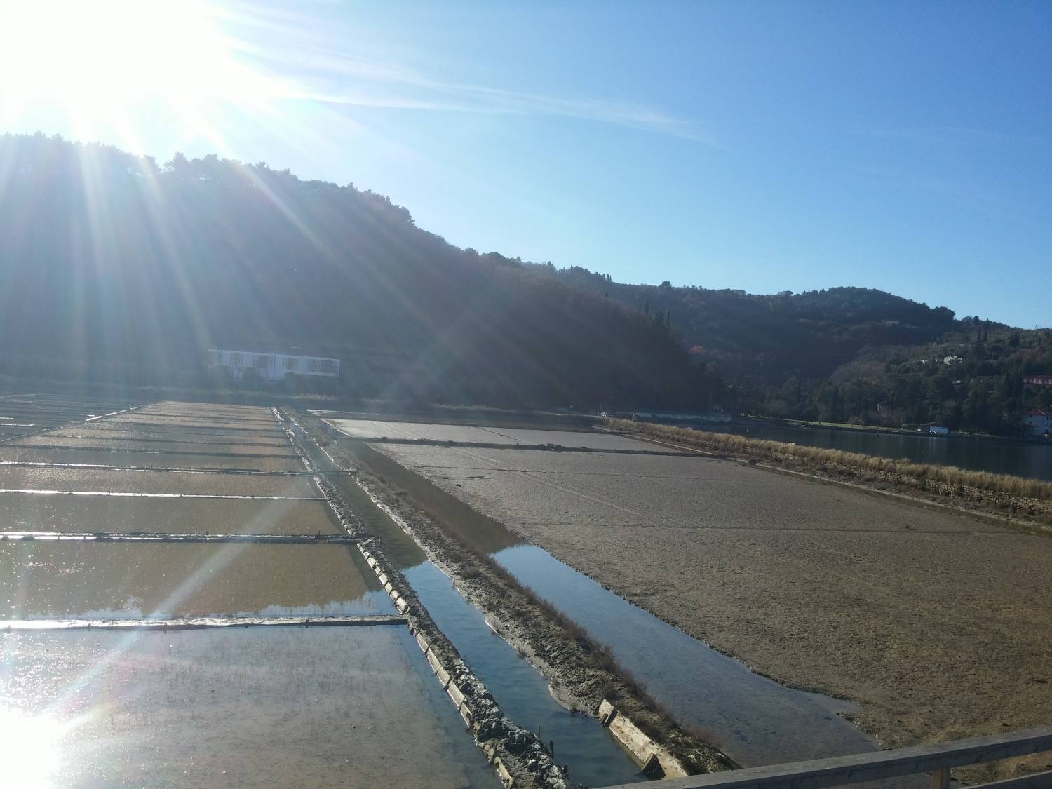 Strunjan Salt Pans 527