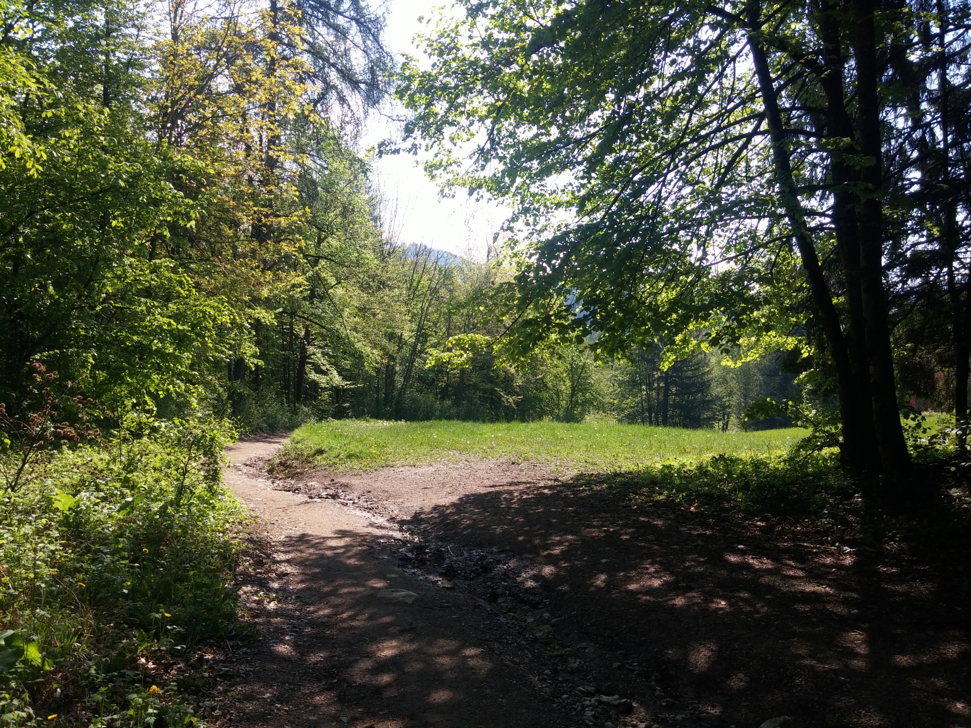 Ojstrica Hill above the Bled Lake 63
