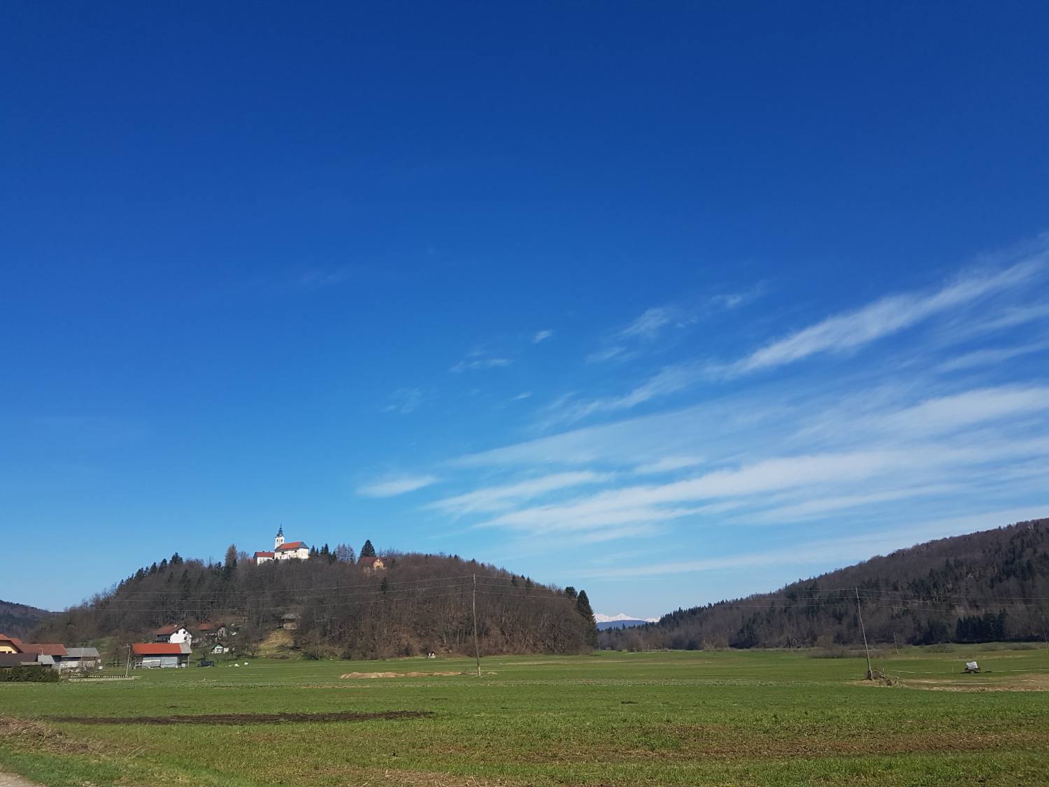 Radensko polje 693