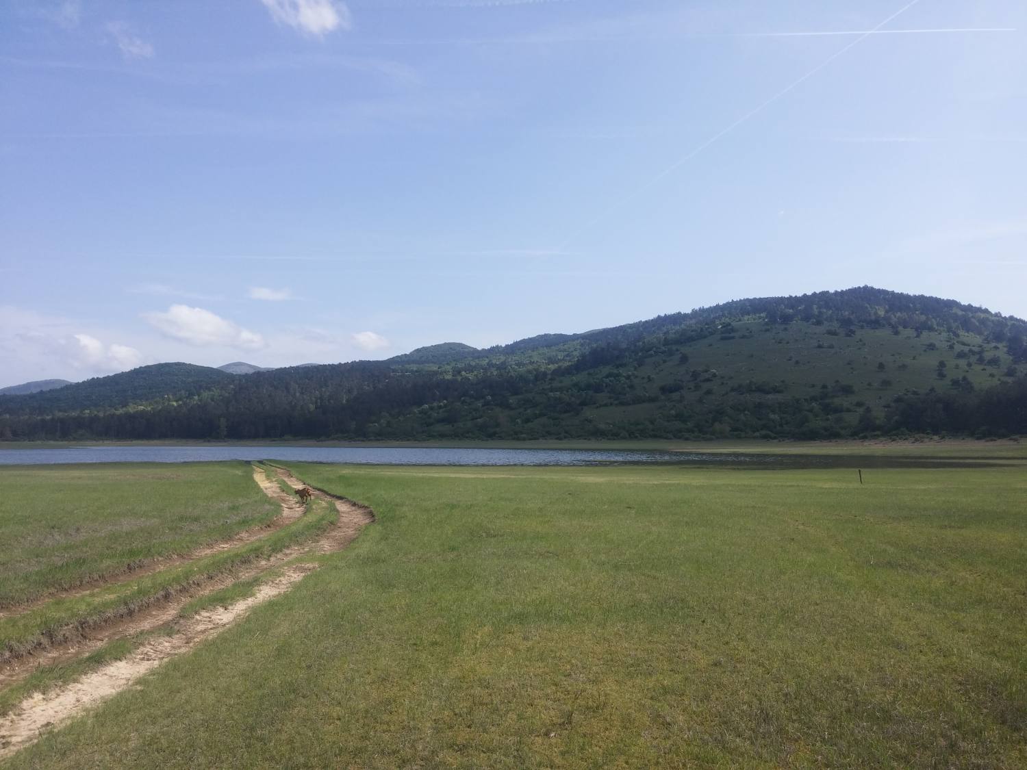 Petelinje Lake-Pivka 705