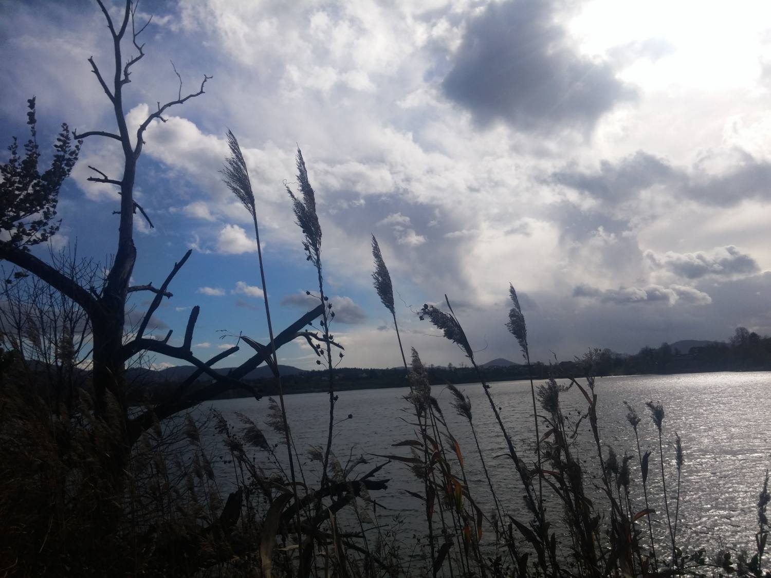 Kočevje Lake 761