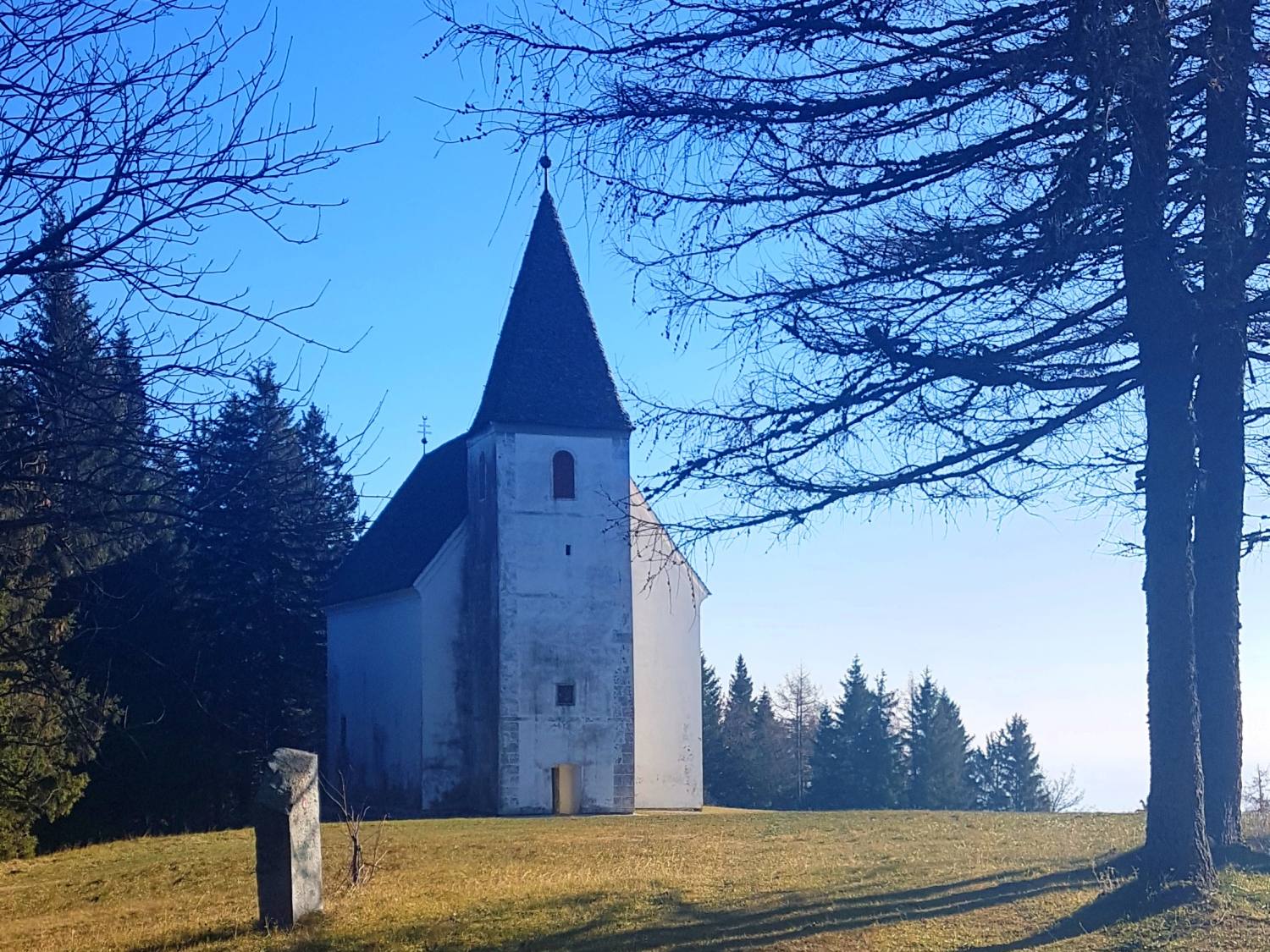 Sv. Areh 1298