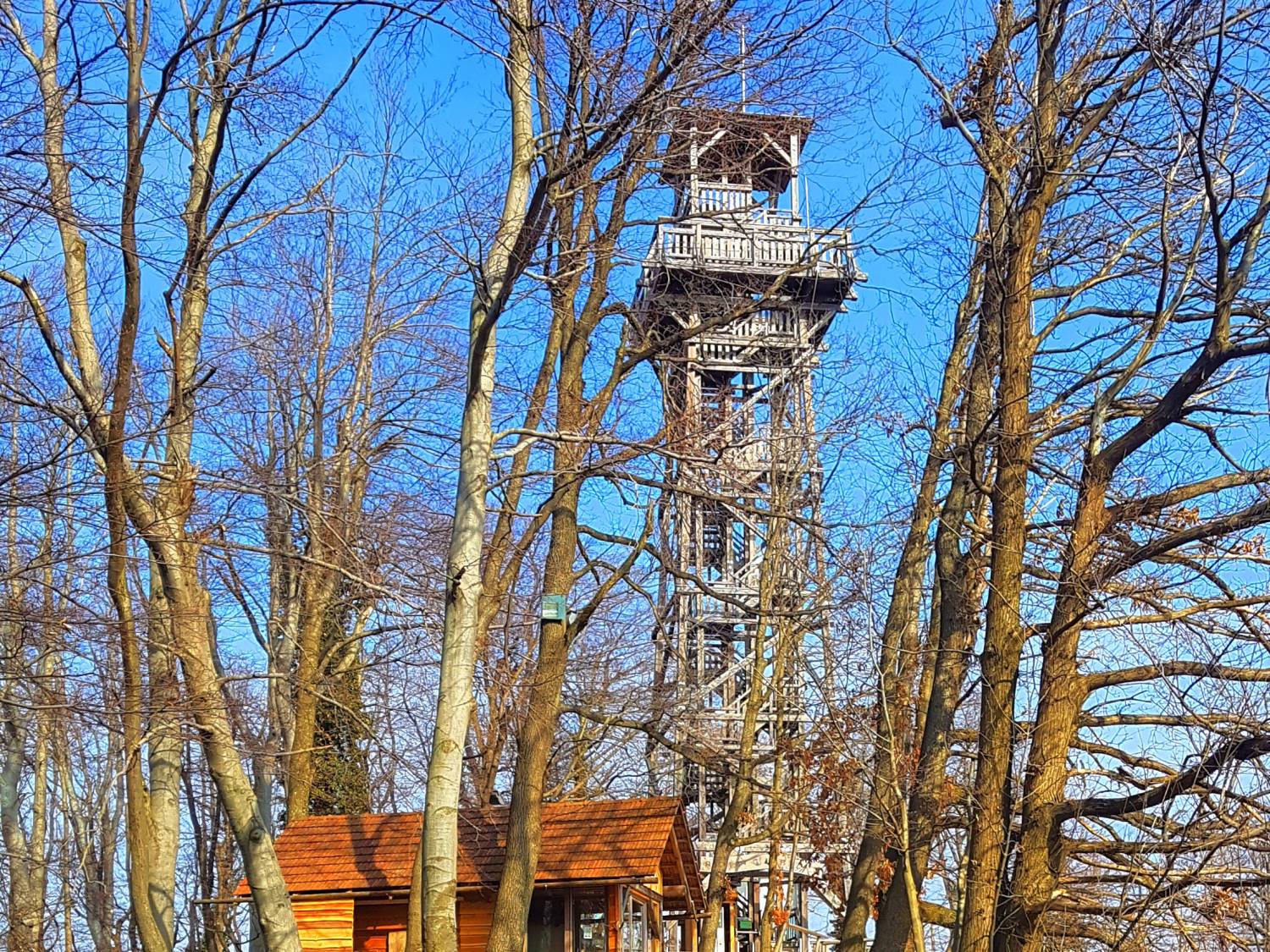 The Tower of Love on the Žusem Hill 1312