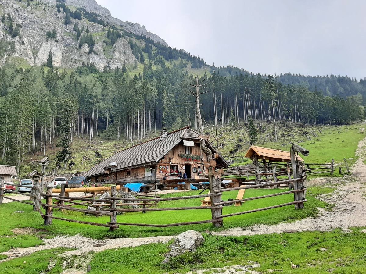 Dolga njiva Alpine Pasture-Tržič 1638