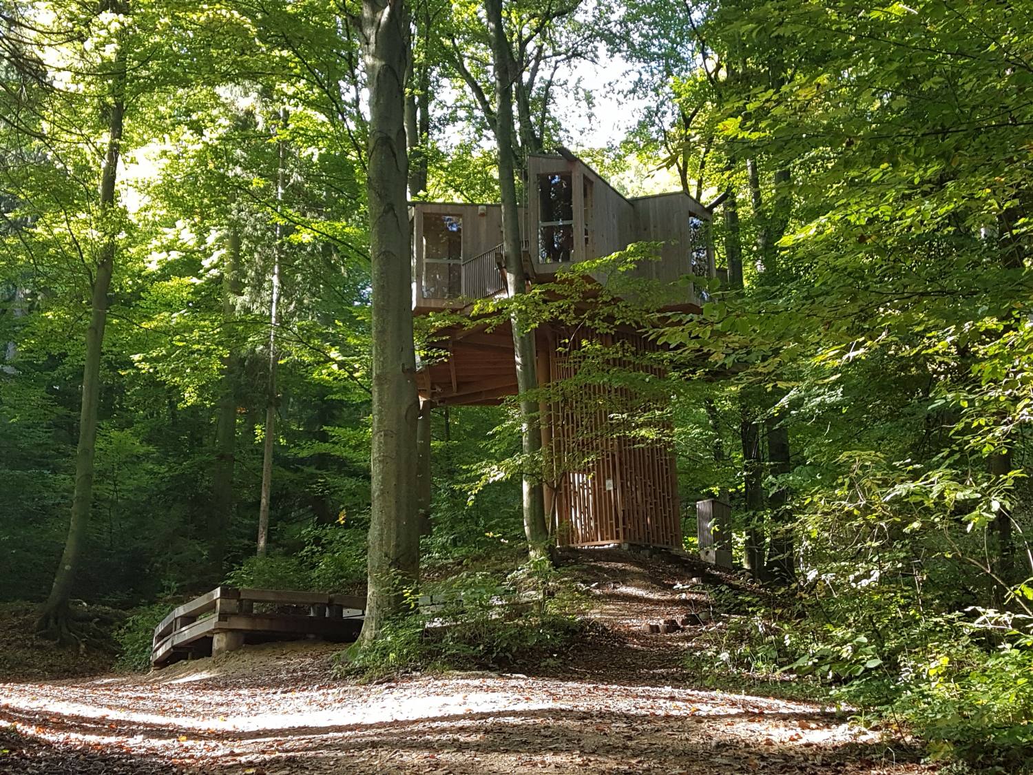 Mestni gozd Celje- drevesna hiša 2372