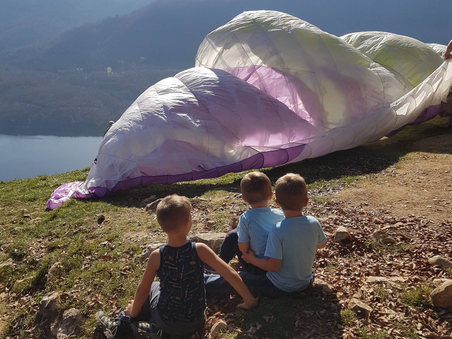 Vogar Alpine Meadow  2064