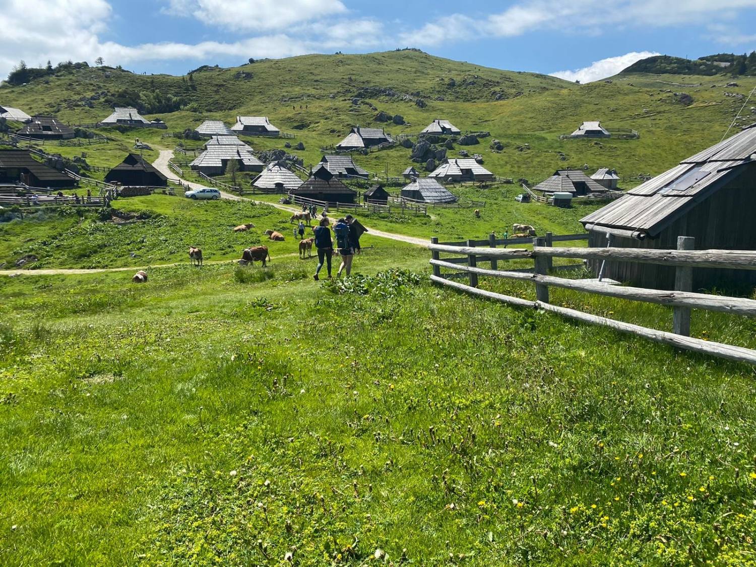 Velika planina 4078