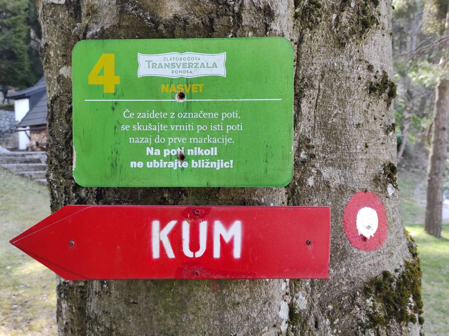Kum 4931