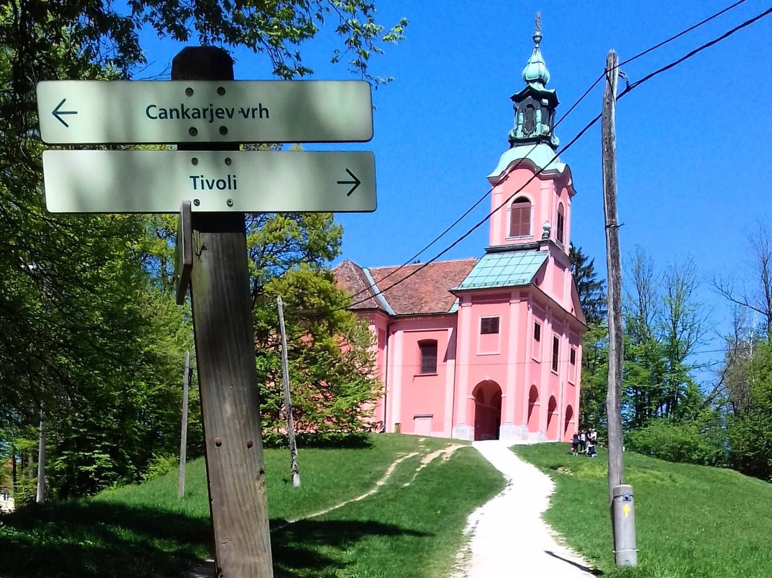 Rožnik 5841