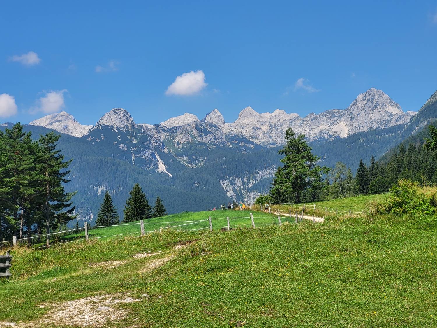 Koča na Uskovnici 8253
