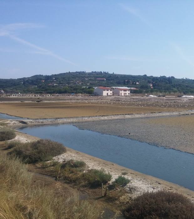 Od Hotela Salinera čez soline 824