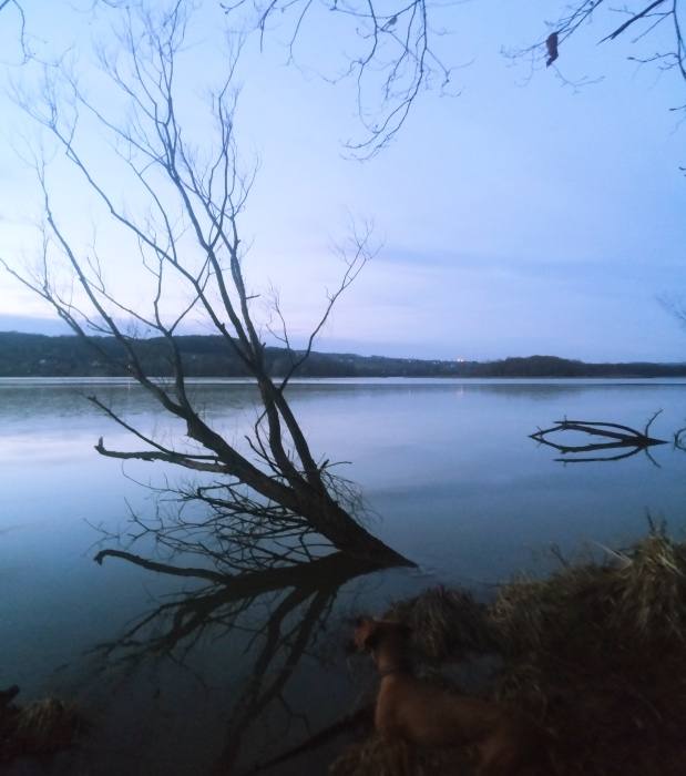 Ledavsko jezero 212