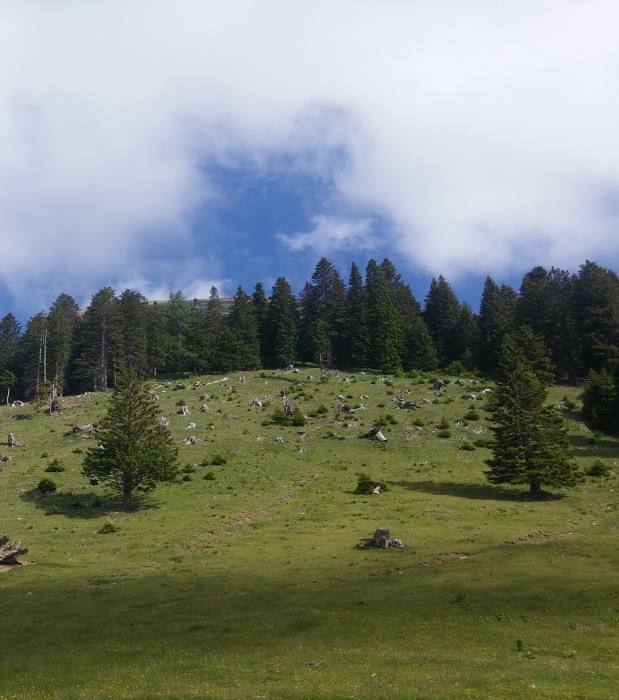Tegoška planina 284