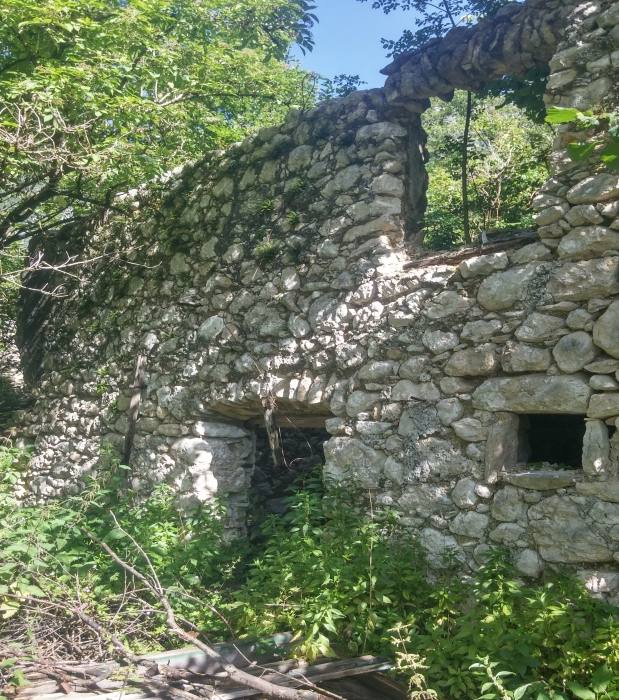 Planina Lemovje-Soča 343