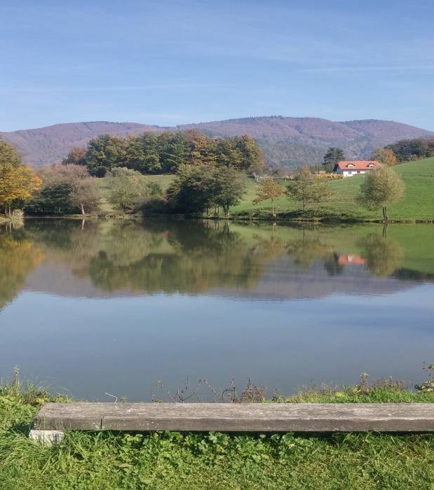 Jezero Rogaška slatina 439