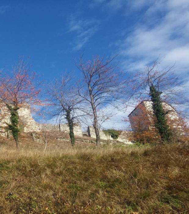 Konjiški grad-Slovenske Konjice 513