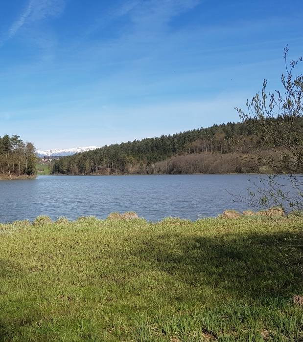 Gradiško jezero 626