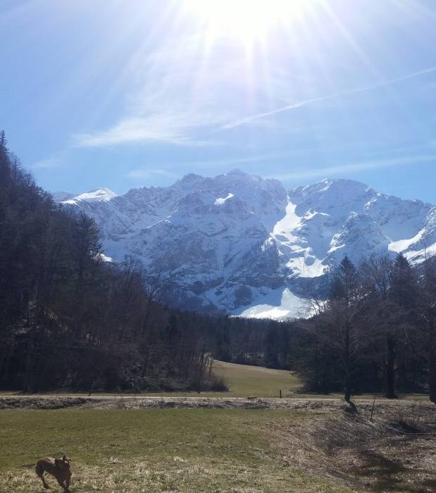 Jezersko-za krajem 629