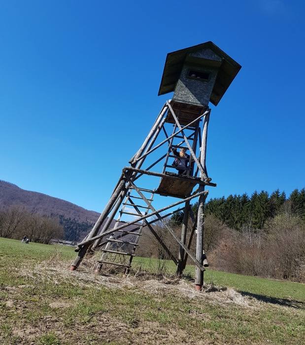 Radensko polje 691