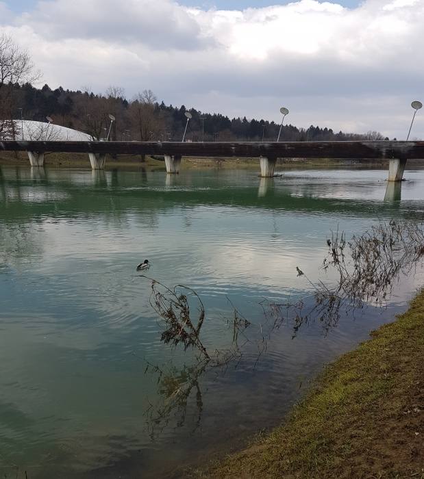 Novo mesto 718