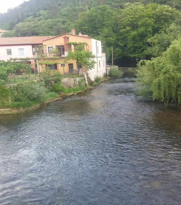 Vipava River Springs 737