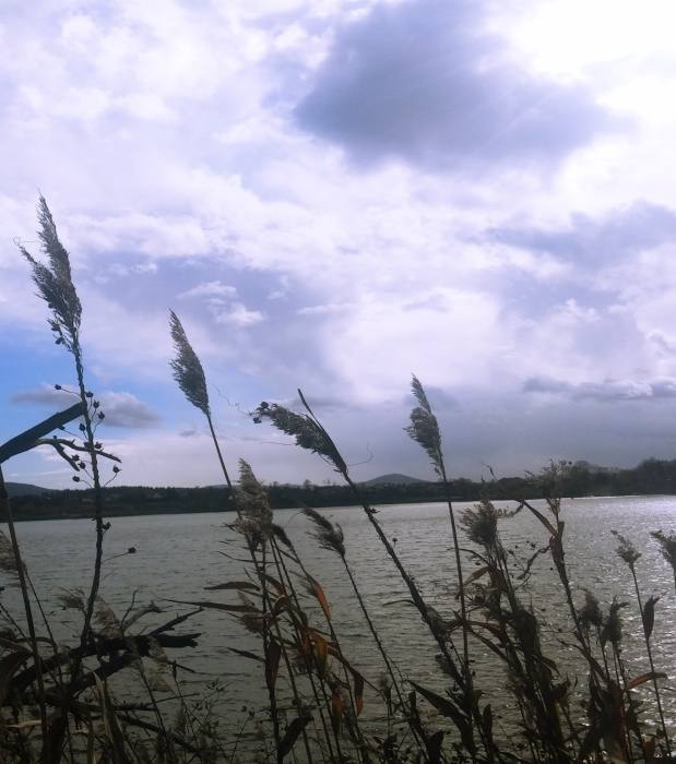 Kočevje Lake 763